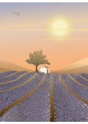 LAVENDER FIELD - poster (Sold Out)
