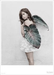 Untitled #2 (Ausverkauft)