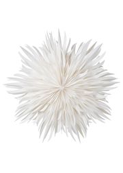 White - Large (Sold Out)