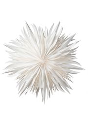 White - Small (Sold Out)