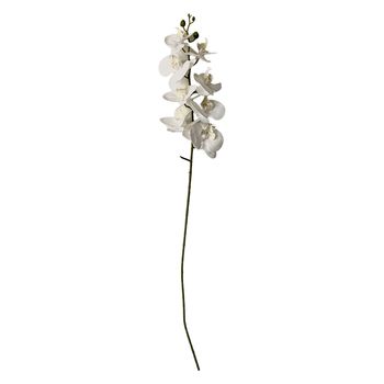 Okholm Studio - Fiori artificiali - Stems - Orchid - White