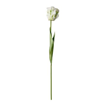Okholm Studio - Fiori artificiali - Stems - Parrot Tulip - White