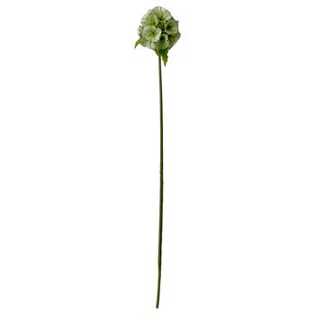 Okholm Studio - Fiori artificiali - Stems - Scabiosa - White