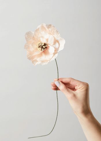 Studio About - Paper Flowers - Paper Flower, Daisy - Nude