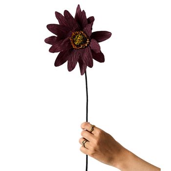 Studio About - Paper Flowers - Paper Flower, Sunflower - PAPER FLOWER, SUNFLOWER, BORDEAUX