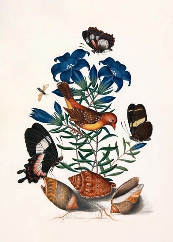 The Dybdahl Co - Póster - YELLOW BIRD, BUTTERFLIES & BLUE FLOWER - YELLOW BIRD, BUTTERFLIES & BLUE FLOWER